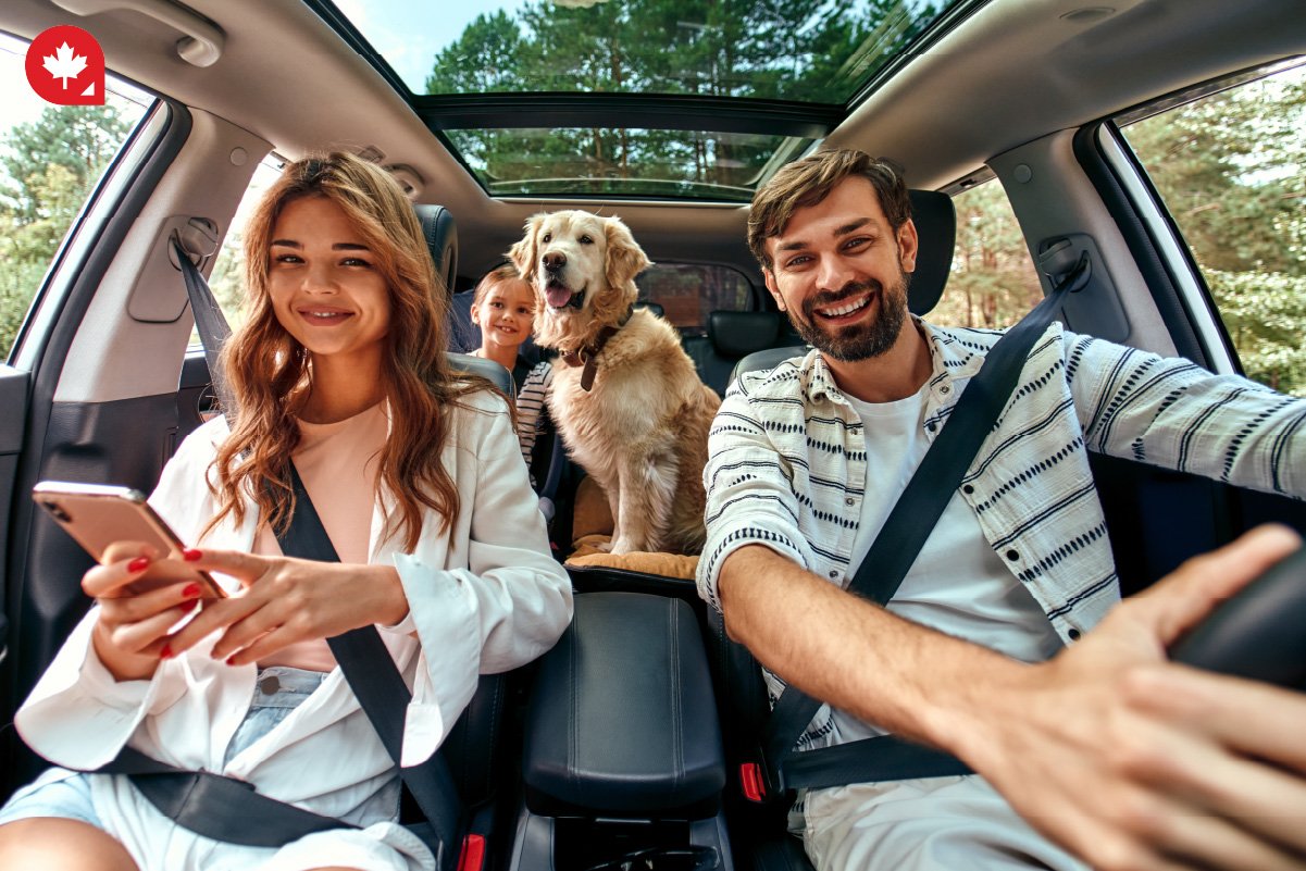 Moving to Canada With Your Pet